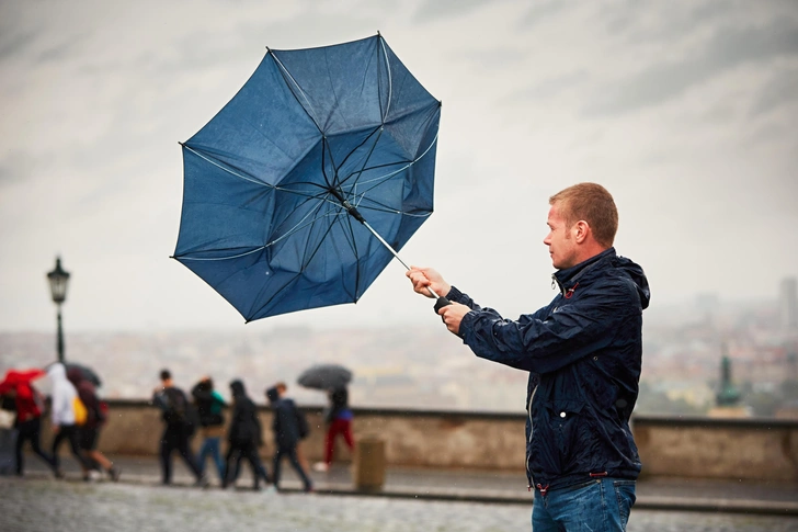 Зима отменяется? Что приходит на смену привычным временам года | Источник: Shutterstock/Fotodom.ru