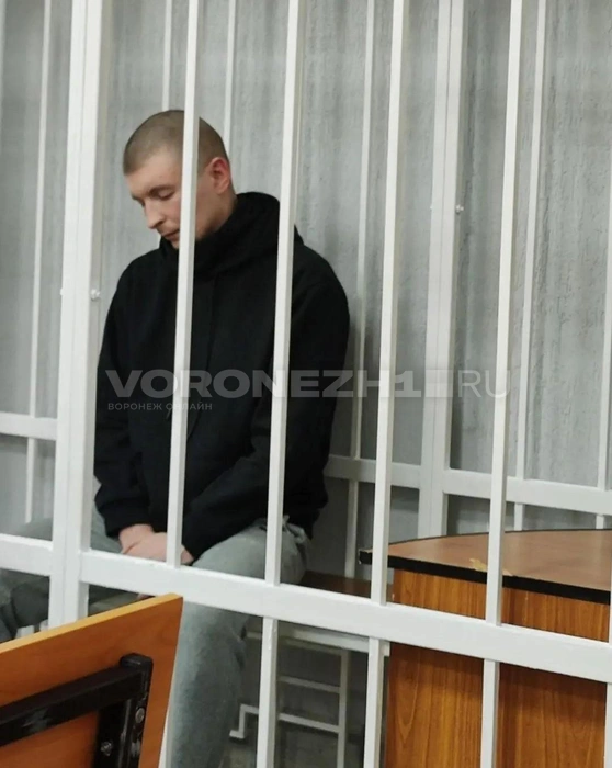 Антон Гусев на прениях в суде. Это последнее заседание перед приговором, когда каждая сторона высказывает своё мнение по обстоятельствам дела и назначению наказания | Источник: Татьяна Тельпис / Voronezh1.ru
