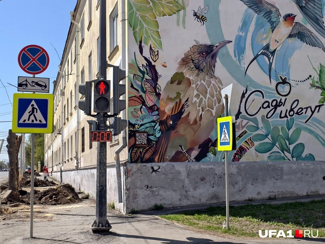Сады цветут | Источник: Булат Салихов / UFA1.RU