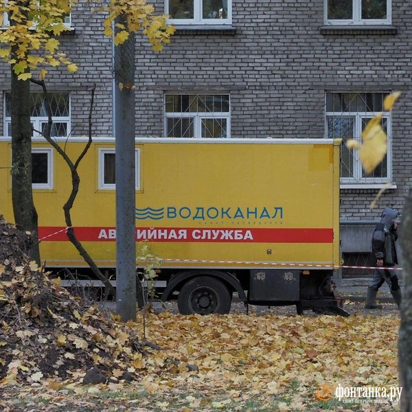 Источник: Михаил Огнев / «Фонтанка.ру»