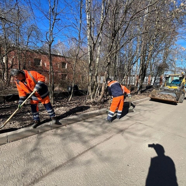 Источник: Комитет по благоустройству Санкт-Петербурга