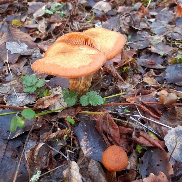 Источник: читатели V1.RU