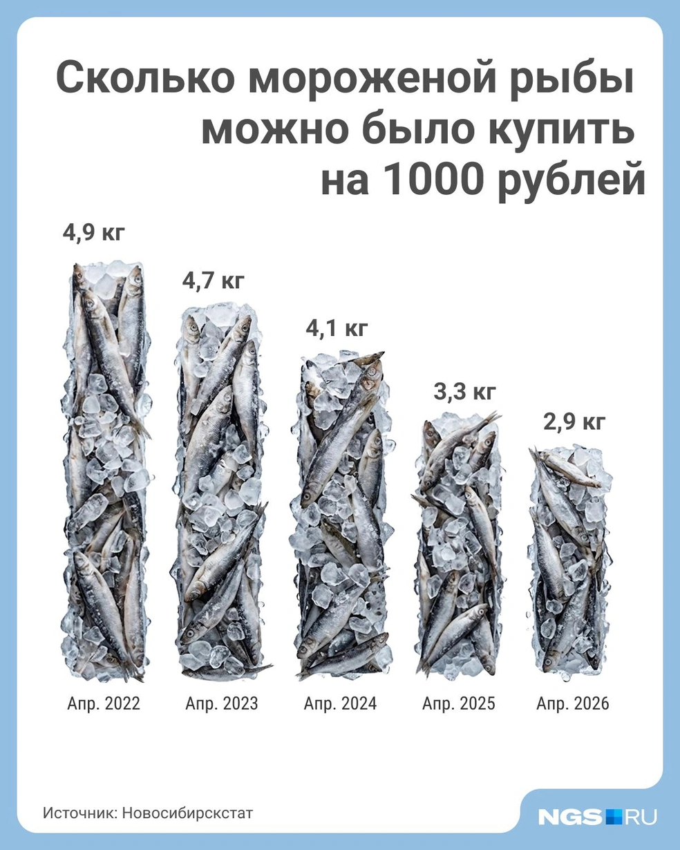 В 2023 году рост был небольшим  | Источник: Юрий Орлов / Городские медиа 