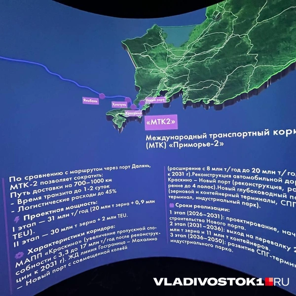 Источник: Алиса Князева / VLADIVOSTOK1.RU