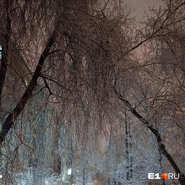 Источник: читатель E1.RU