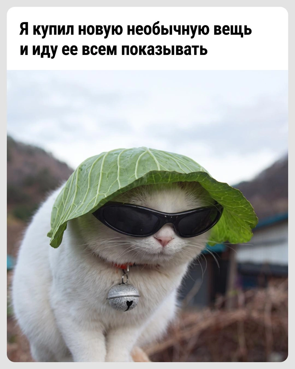Привет всем любителям оригинальных образов | Источник: Городские медиа
