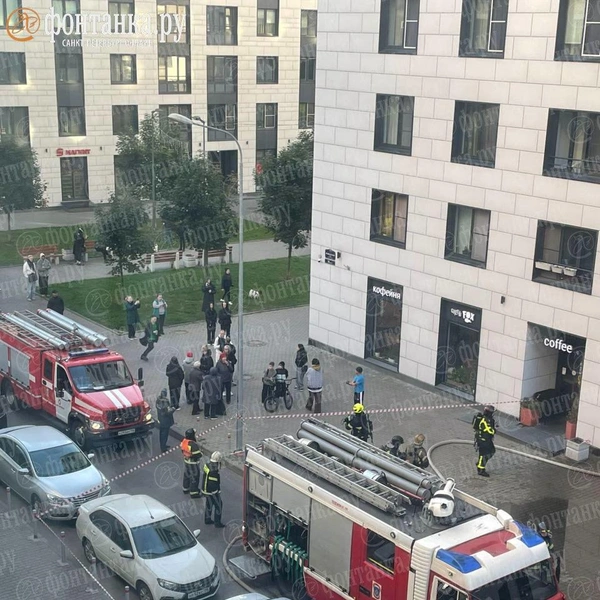 Обстановка на месте происшествия | Источник: читатель «Фонтанки»