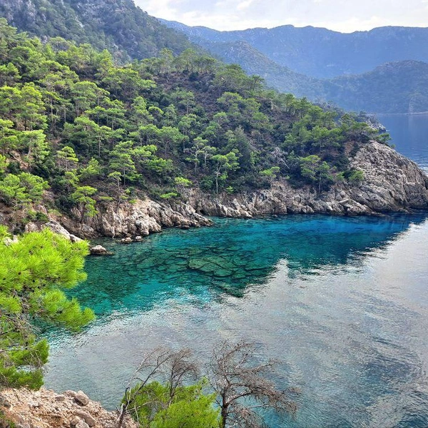 Сосны, бирюзовая и прозрачная вода, воздух | Источник: Евгений Рубе