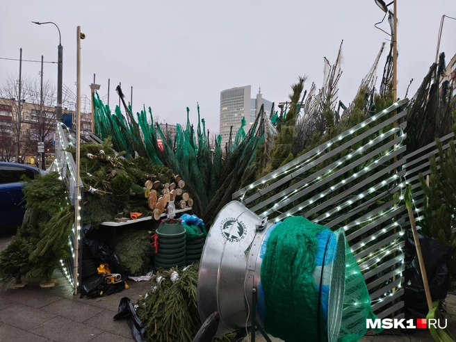 В Москве открылись 250 елочных базаров — MSK1.RU показали, где находится каждый из них | Источник: Серафима Путиева / MSK1.RU