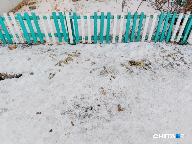 Во дворах иногда ходить неприятно | Источник: Любовь Никитина / CHITA.RU