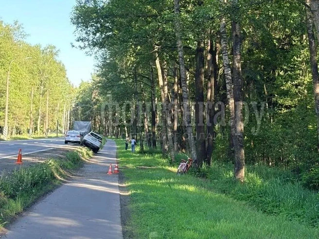 Стали известны подробности смертельного ДТП с велосипедистами в Лисьем Носу | Источник: читатель «Фонтанки»
