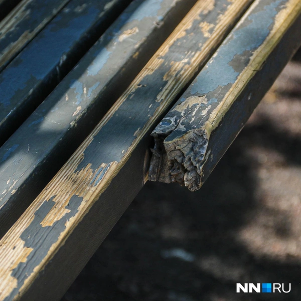 Источник: Наталья Бурухина / NN.RU