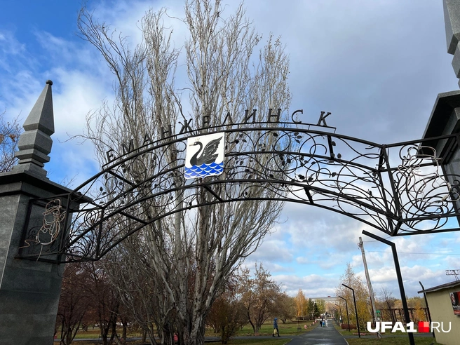 Даже лебедь хочет уплыть | Источник: Андрей Бирюков / UFA1.RU