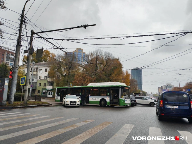Источник: читатель Voronezh1.ru 