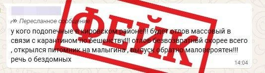 Такие сообщения стали массово рассылаться в Новосибирске | Источник: скриншот из чата