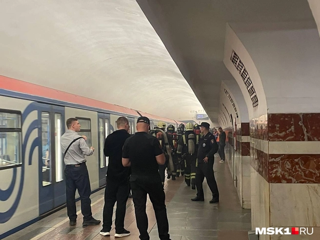 Источник: Вера Борисова / MSK1.RU