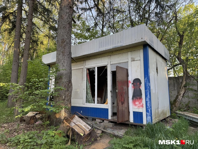 Источник: Алина Мельникова / MSK1.RU