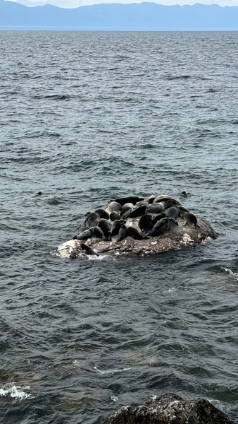 Источник: «Кристальный Байкал»