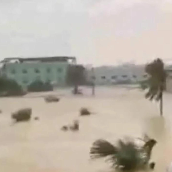 Источник: WION / YouTube