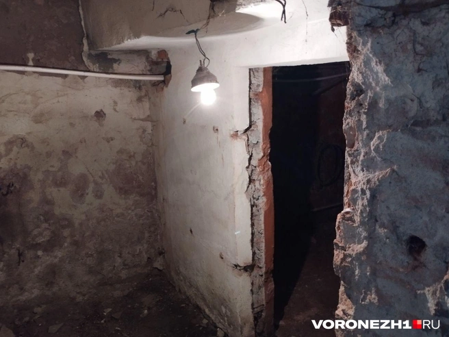 Источник: Дмитрий Волгин / Voronezh1.ru