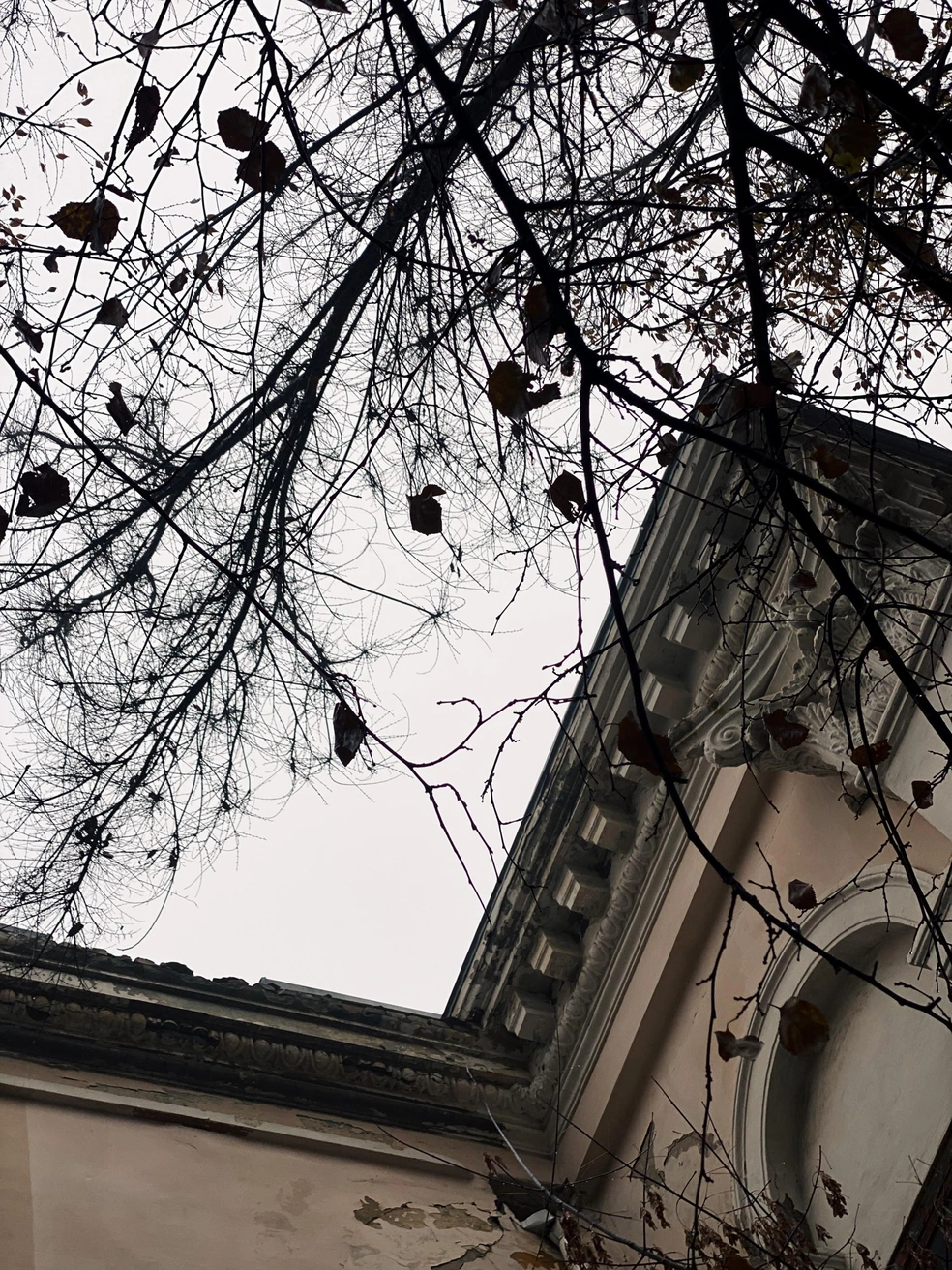 Источник: Юлия Воропаева