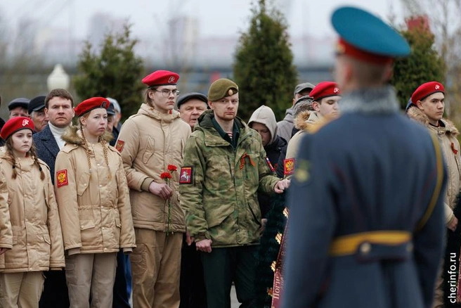 Источник: st.cherinfo.ru