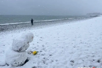 В Сочи ночью прогнозируют сильный снегопад