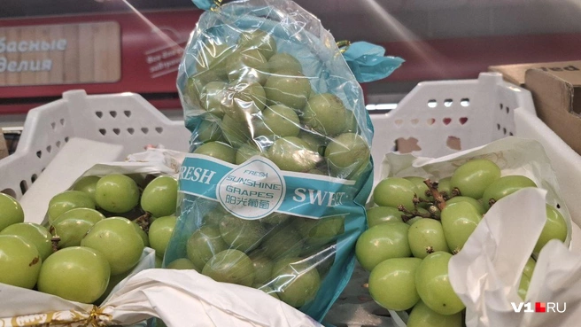 Каждая ягодка необычного винограда размером с маленькую грушу | Источник: Тимофей Крылов / V1.RU
