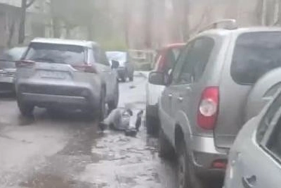 Холод в детсаду, конфликт автоледи, рост цен: дайджест Воронежа