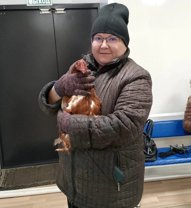 Сейчас птица здорова | Источник: Госветслужба Забайкалья / T.me