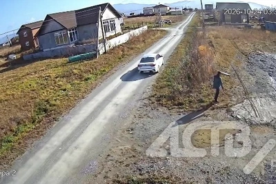 Дачники Южно-Сахалинска просят полицию проверить СНТ «Снегирь»