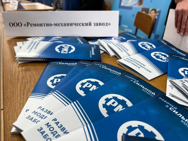 Источник: «Железный РМЗ» / Telegram