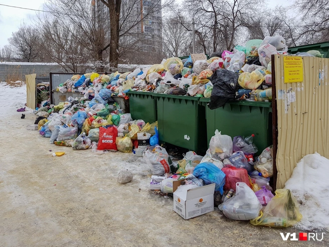Первые дни работы мусорного оператора в Волгограде | Источник: Константин Завриков