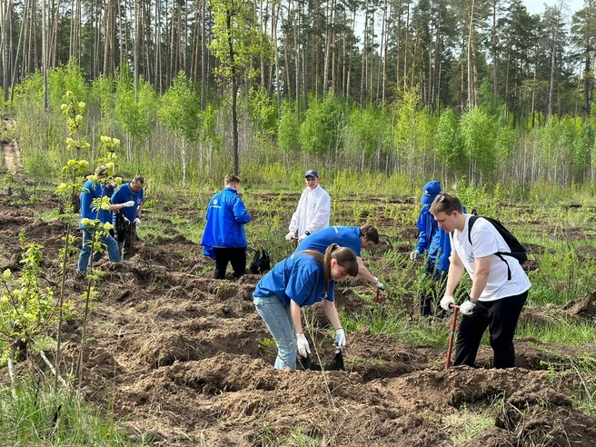 На экологические программы предприятие тратит миллиарды рублей | Источник: «КуйбышевАзот»