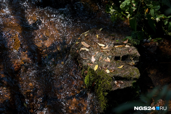 Что видите? | Источник: Мария Ленц / NGS24.RU