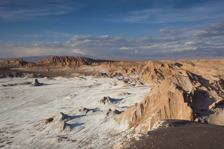 В самом засушливом месте Земли найдена жизнь: кому хорошо в пустыне Атакама?