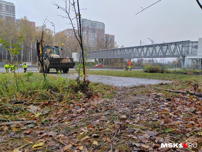 Тот самый переход, о котором говорят жильцы | Источник: Михаил Мечев / MSK1.RU
