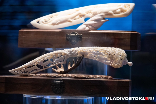 Источник: Елена Буйвол / VLADIVOSTOK1.RU