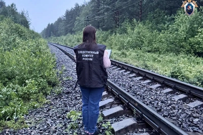 Мужчина погиб под поездом в Пряжинском районе