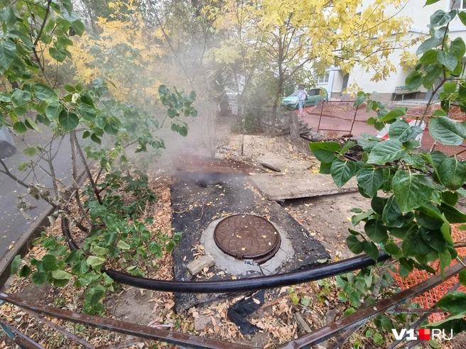 Источник: Константин Завриков / V1.RU