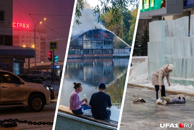 Какой год, такие и фото | Источник: Булат Салихов