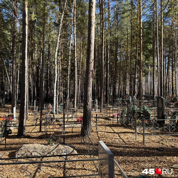 Источник: Кирилл Митин