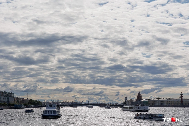 Нева наполнена вездесущими теплоходами, катерами и катерочками | Источник: Ирина Шарова / 72.RU