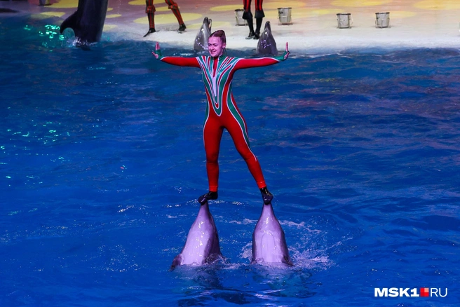 Источник: Артем Устюжанин / MSK1.RU