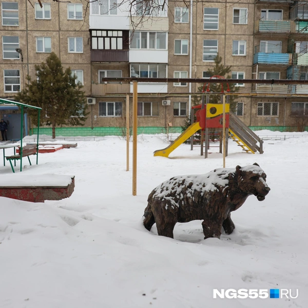 Вышел из зимний спячки | Источник: Евгений Софийчук / NGS55.RU 