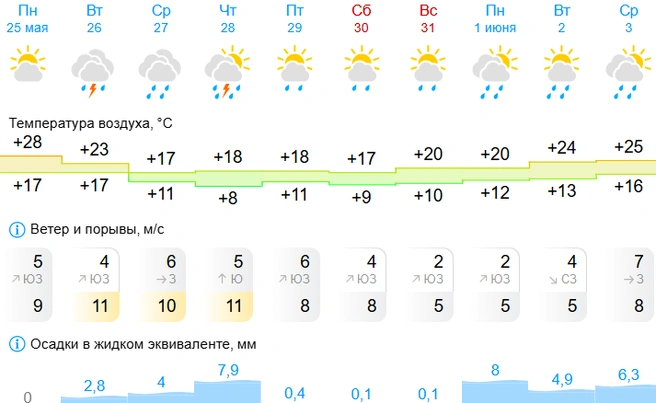 Больше всего осадков прольется 28 мая и 1 июня | Источник: Gismeteo