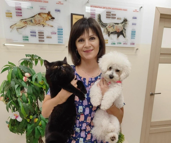 Одной из главных угроз являются праздничные украшения | Источник: Наталья Барило