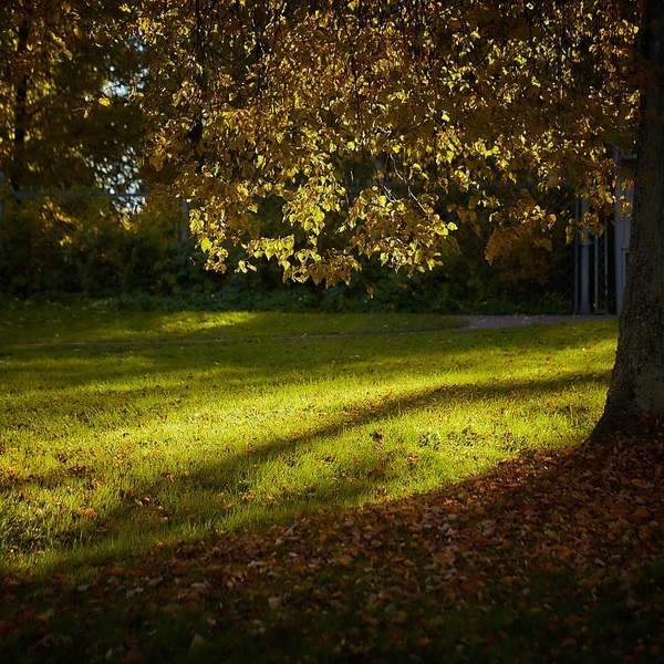 Источник: музей-заповедник «Петергоф»