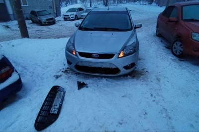 Dog pack chews and scratches car in Kamyshin near Volgograd