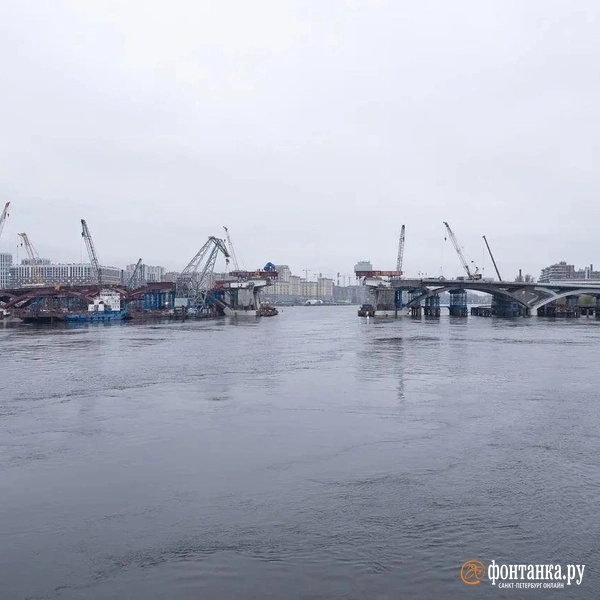 Источник: Сергей Николаев / «Фонтанка.ру»